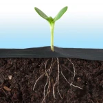 Agrowłóknina ogrodowa 0,8 m x 50 m + 50 szpilek Plonos 