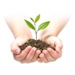 Agrowłóknina ogrodowa 1,6 m x 50 m 70 g/m2 + 100 szpilek Plonos - zielona