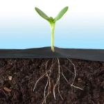 Agrowłóknina ogrodowa 1 m x 75 m + 50 szpilek Plonos - czarna