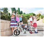 Rowerek biegowy drewniany niebieski Ricokids RC-618