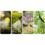 Opryskiwacz akumulatorowy z mieszalnikiem Plonos PL-604