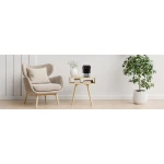 Osuszacz powietrza - pochłaniacz wilgoci Berdsen BR-10B czarny