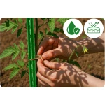 Tyczki do roślin 120 cm Plonos PL-940 zielone 10szt 